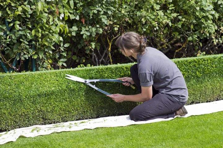 RIESGOS ESPECÍFICOS DEL PUESTO DE TRABAJO -  JARDINERO